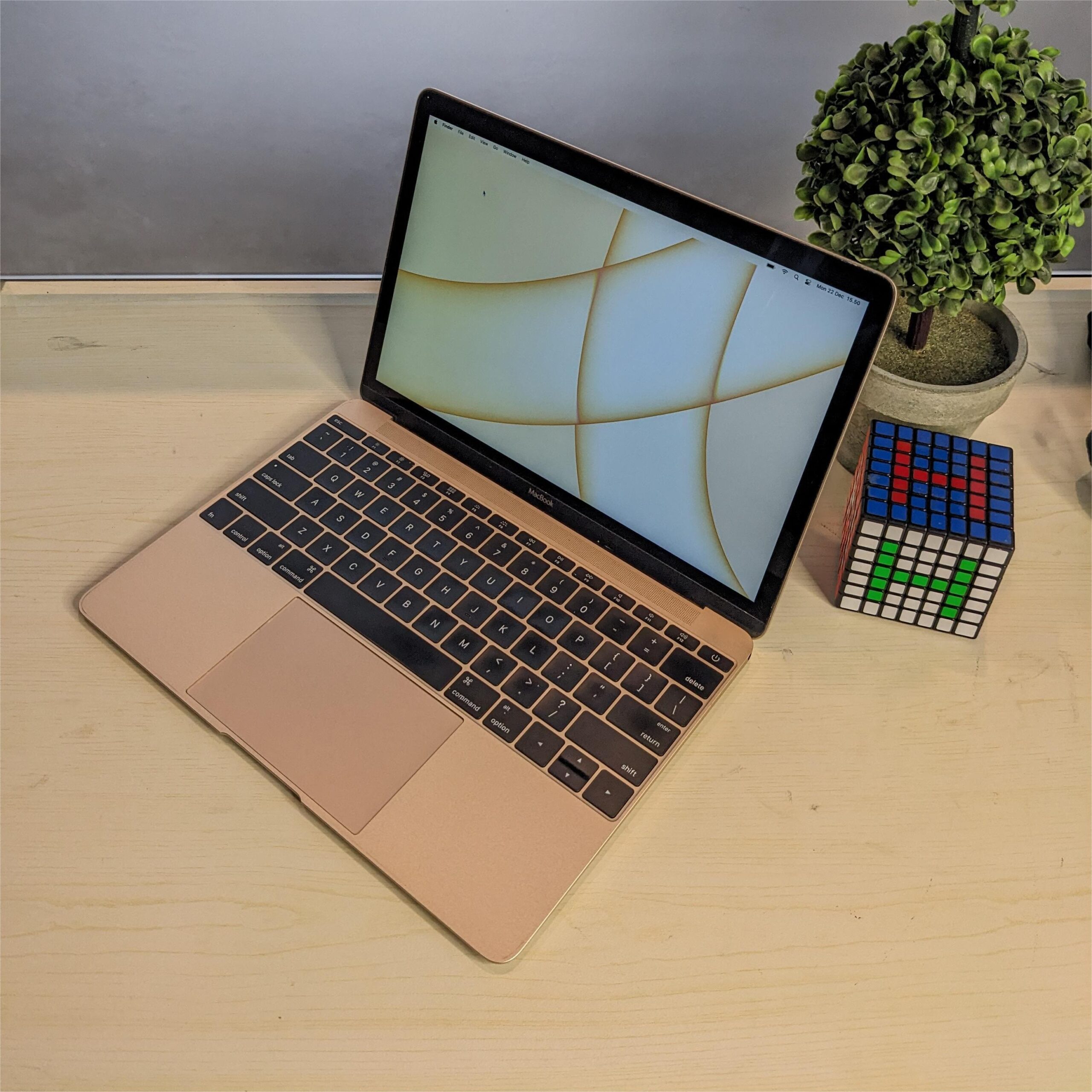 PXL_20251222_075011761