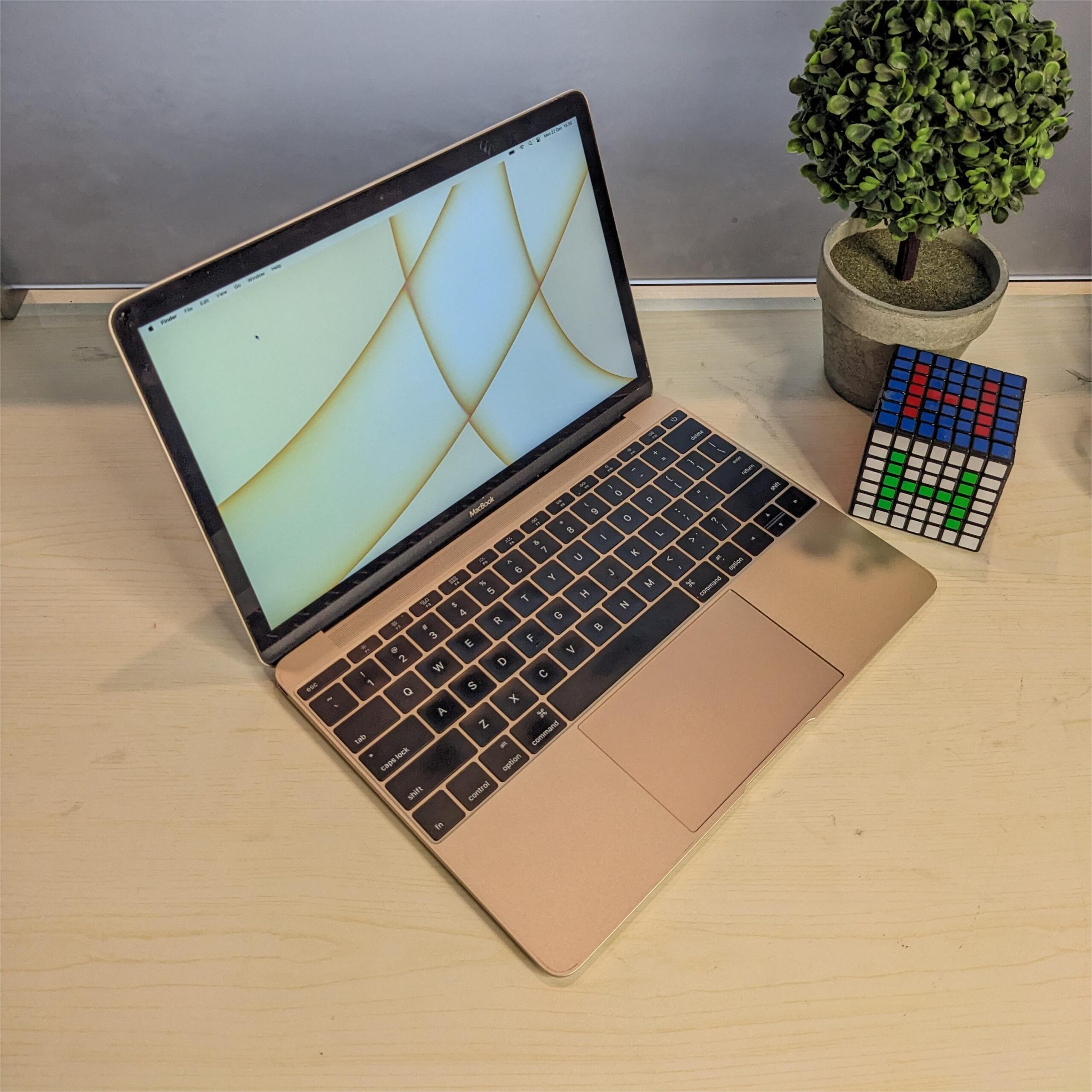 PXL_20251222_075040016